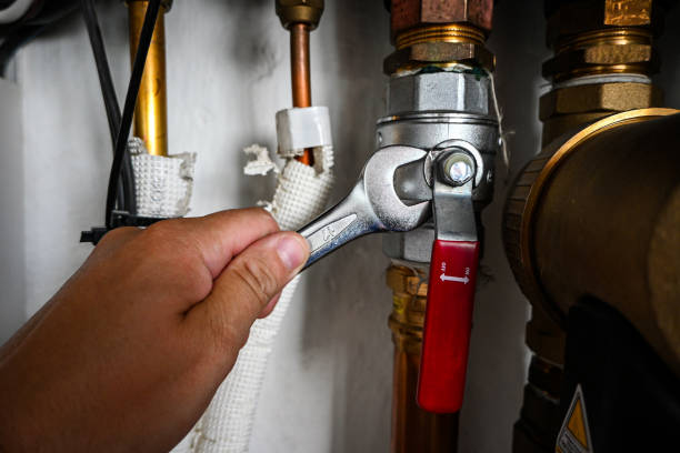 Best Affordable Plumbing Services  in Mayville, WI